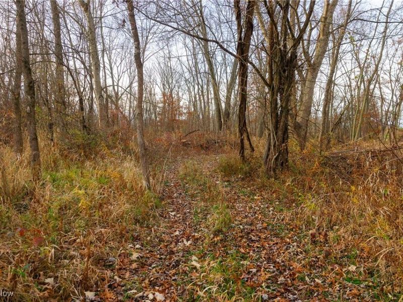 12160 Harvey Circle, Marshallville, OH 44645 Photo 21