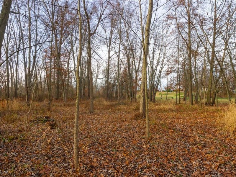 12160 Harvey Circle, Marshallville, OH 44645 Photo 22