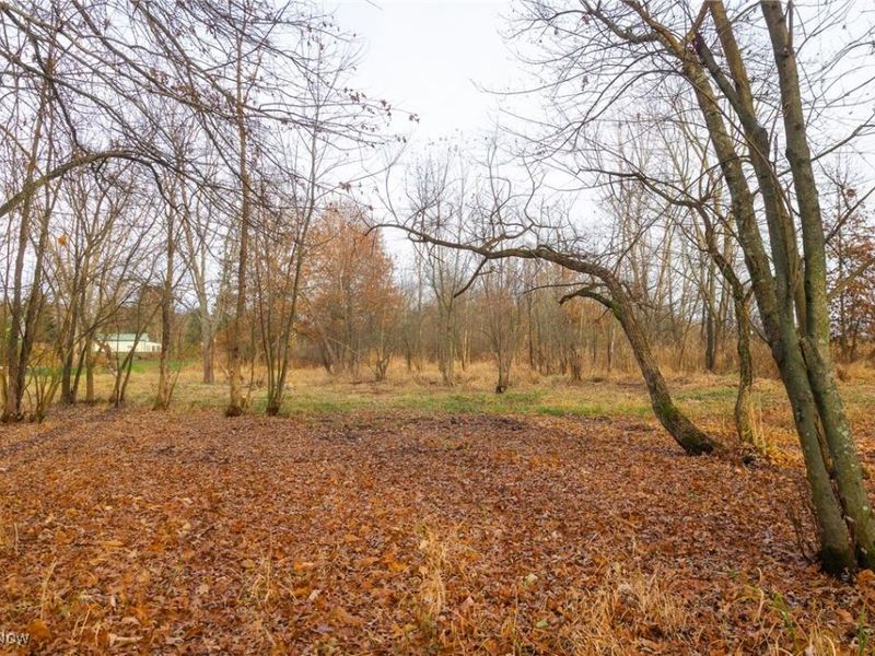 12160 Harvey Circle, Marshallville, OH 44645 Photo 23