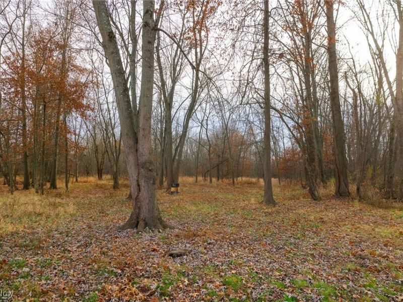 12160 Harvey Circle, Marshallville, OH 44645 Photo 24