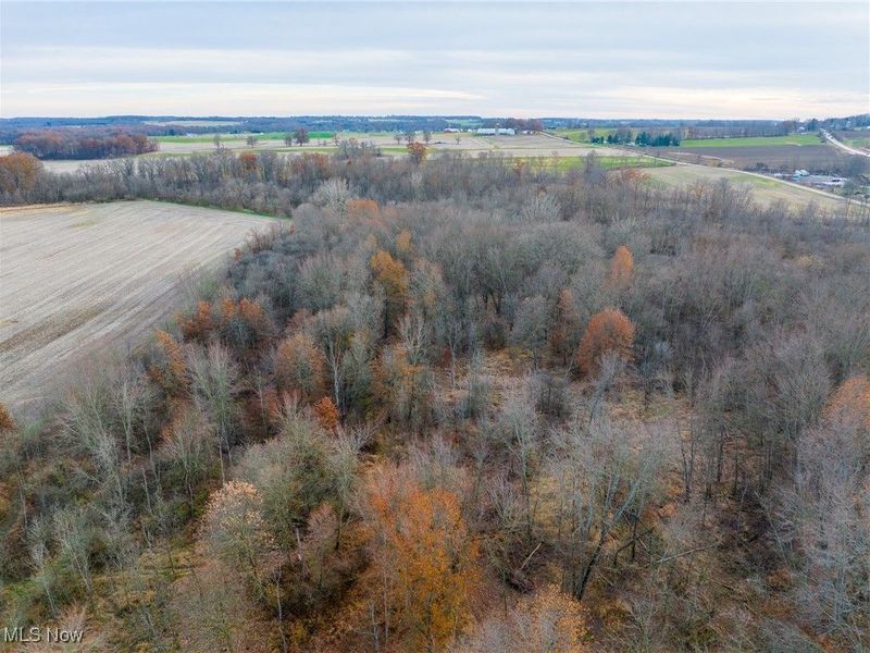 12160 Harvey Circle, Marshallville, OH 44645 Photo 27