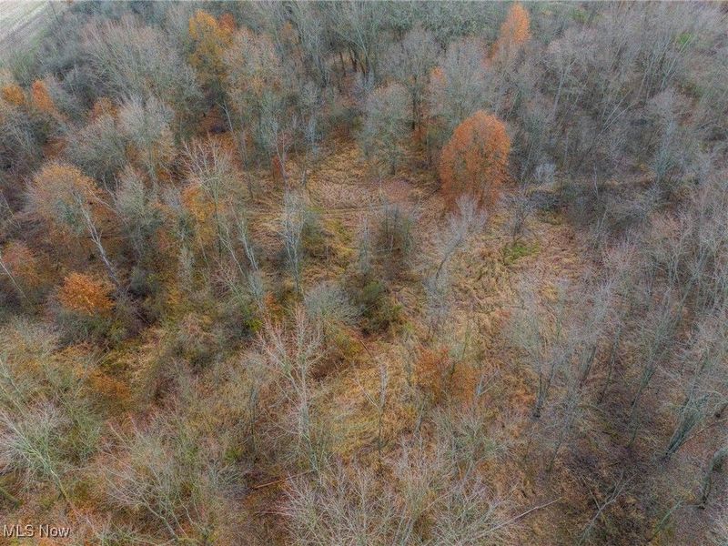 12160 Harvey Circle, Marshallville, OH 44645 Photo 28