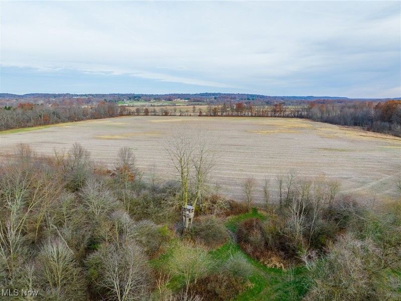 12160 Harvey Circle, Marshallville, OH 44645 Photo 30