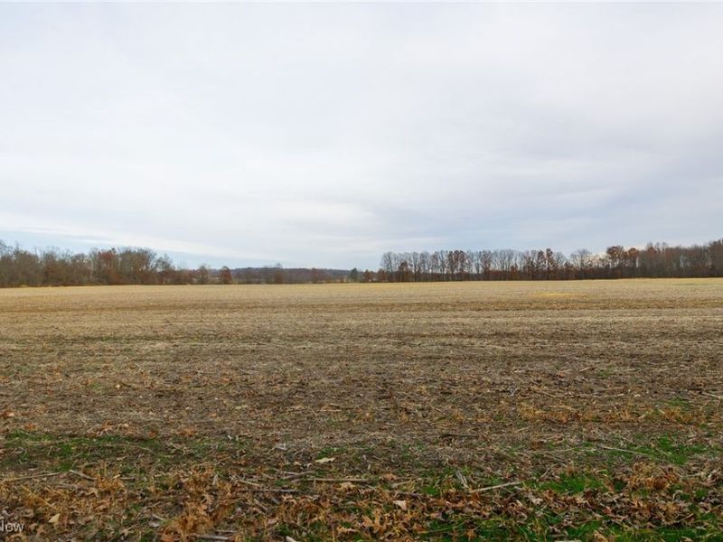 12160 Harvey Circle, Marshallville, OH 44645 Photo 7