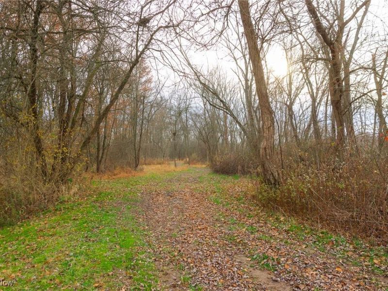 12160 Harvey Circle, Marshallville, OH 44645 Photo 8