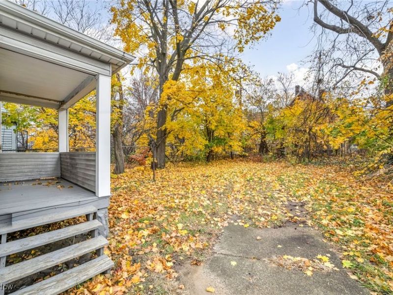 1333 E 82nd Street, Cleveland, OH 44103 Photo 22