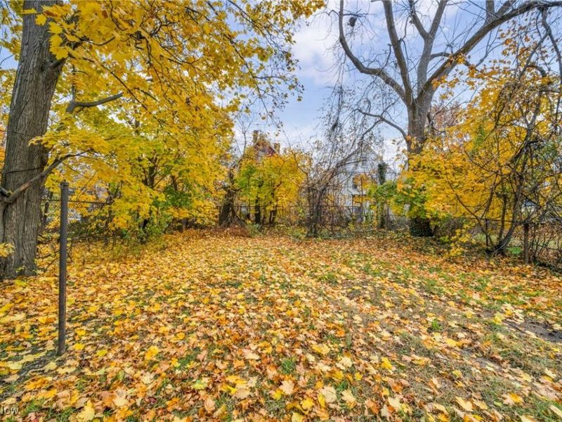 1333 E 82nd Street, Cleveland, OH 44103 Photo 23