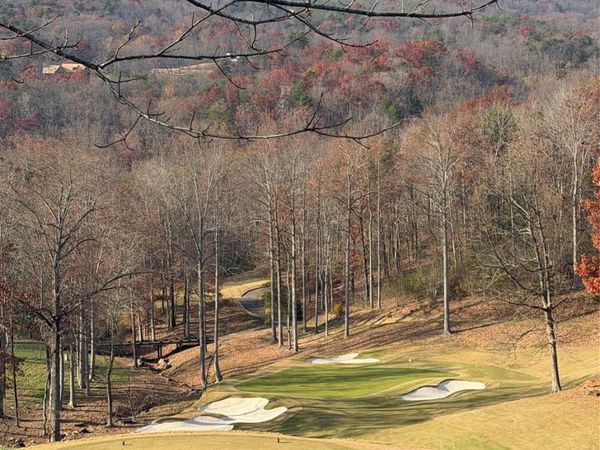 99999 Chestertown Drive , Mill Spring, NC 28756