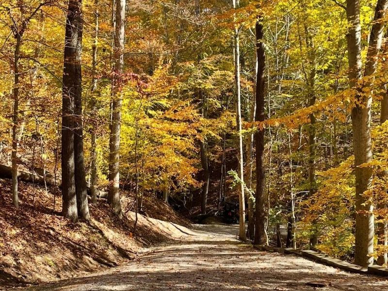 1015 Taos Lane, Hideaway Hills, OH 43107 Photo 21