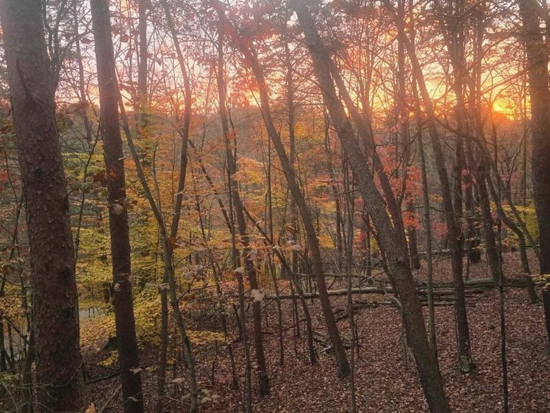 1015 Taos Lane, Hideaway Hills, OH 43107 Photo 22