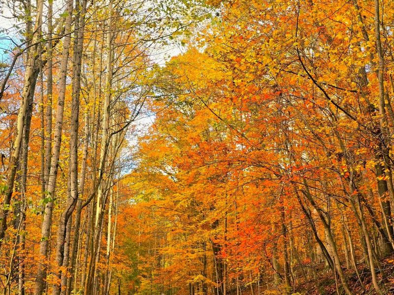 1015 Taos Lane, Hideaway Hills, OH 43107 Photo 26