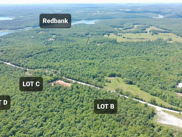 Tract C Hwy 101, Gamaliel, AR 72537