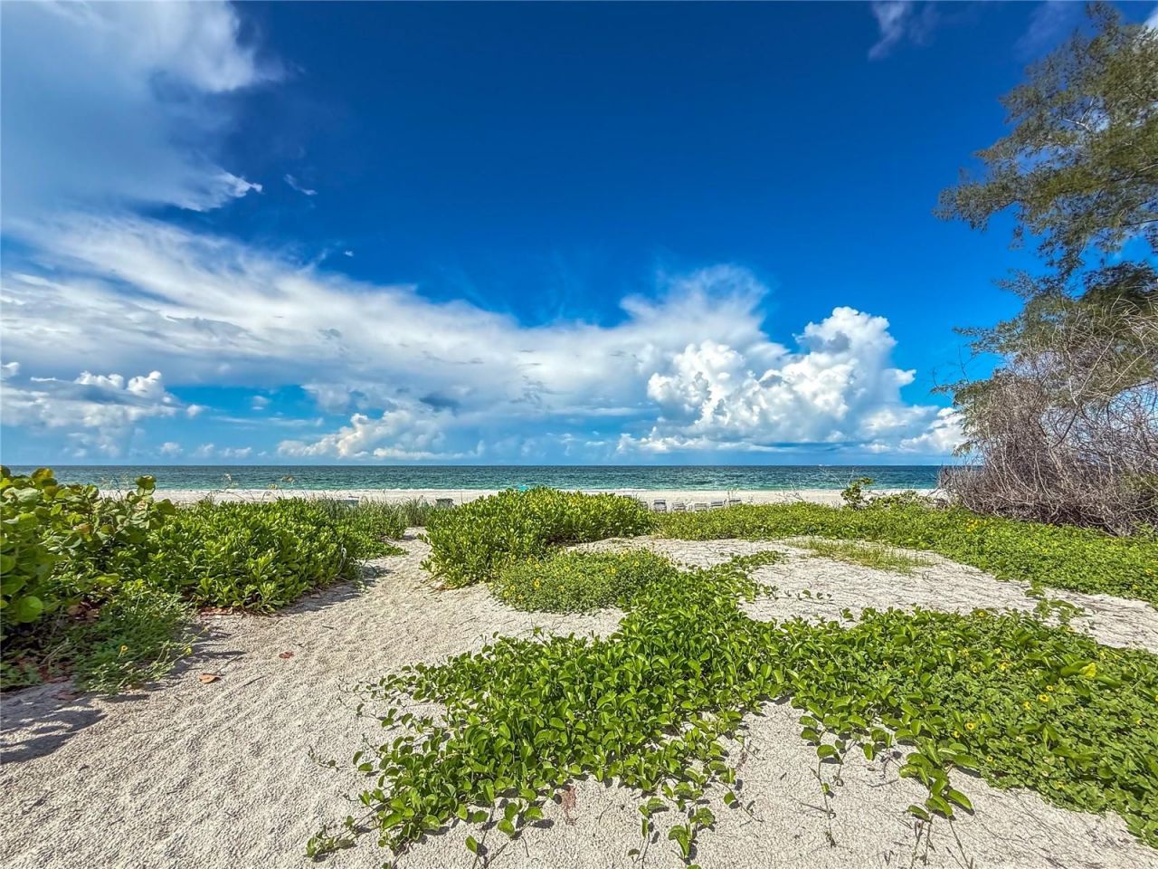 5310 Gulf Of Mexico Drive, Unit 16, Longboat Key, FL 34228 Photo
