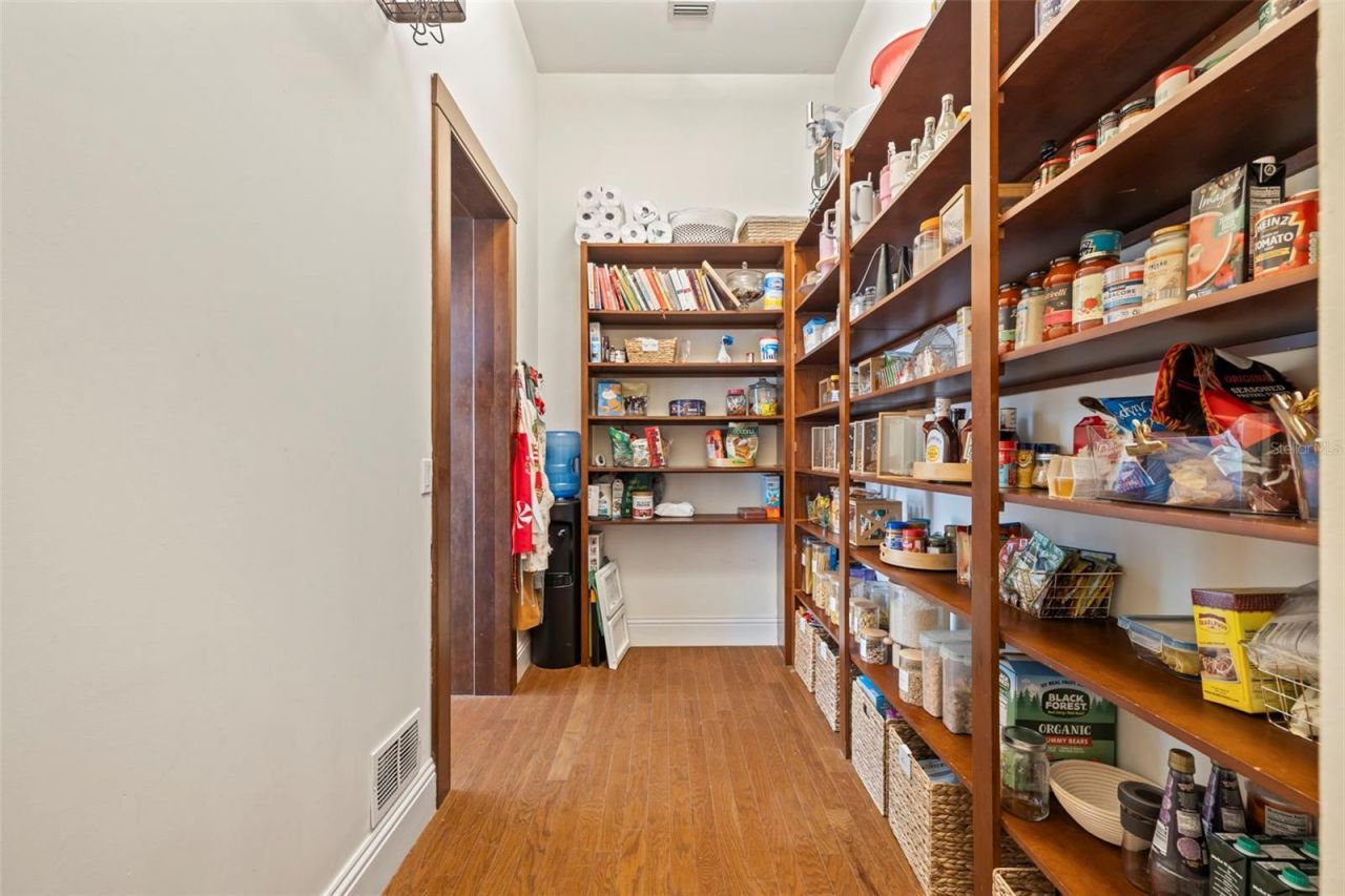 17301 Ladera Estates Boulevard, Lutz, FL 33548 Photo