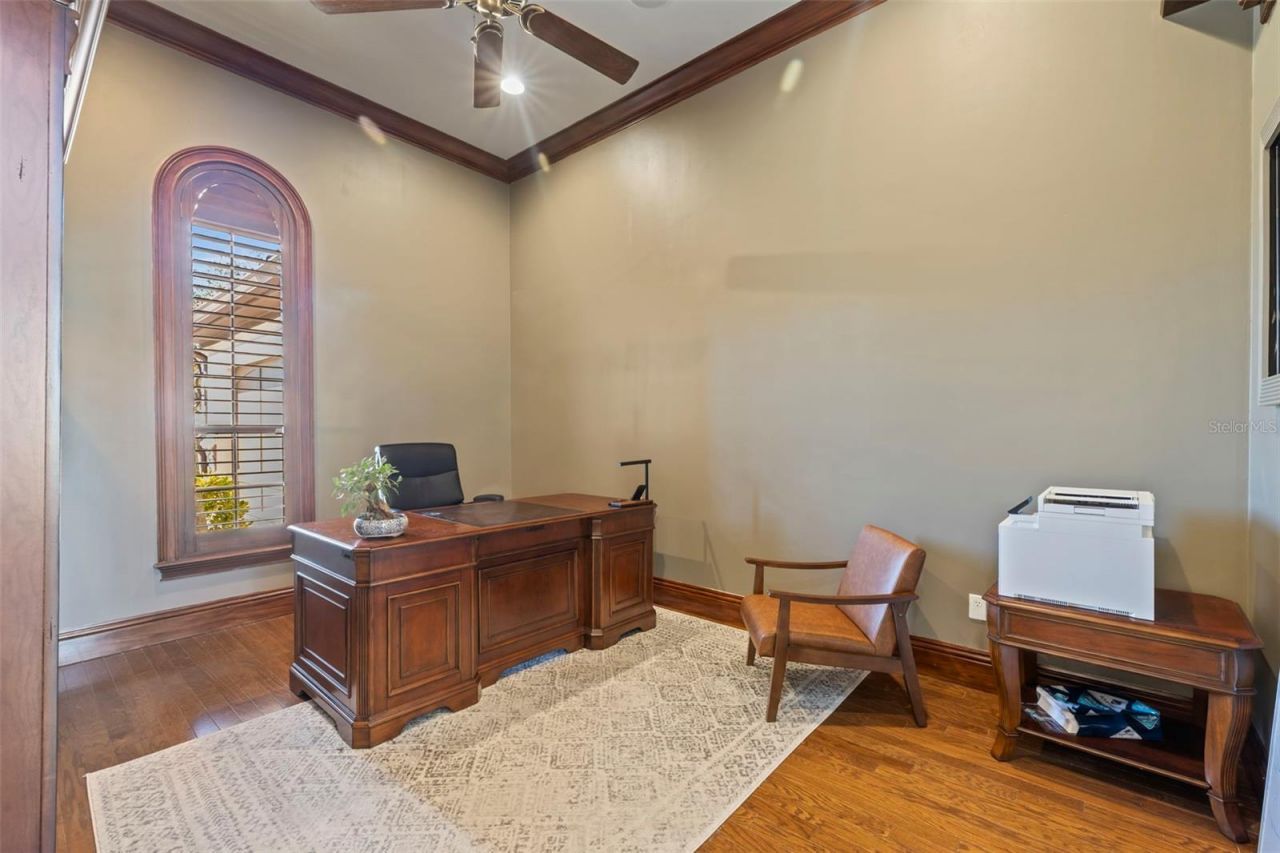 17301 Ladera Estates Boulevard, Lutz, FL 33548 Photo