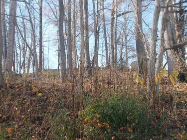 TBD3 CAMELOT DR, Charlottesville, VA 22911