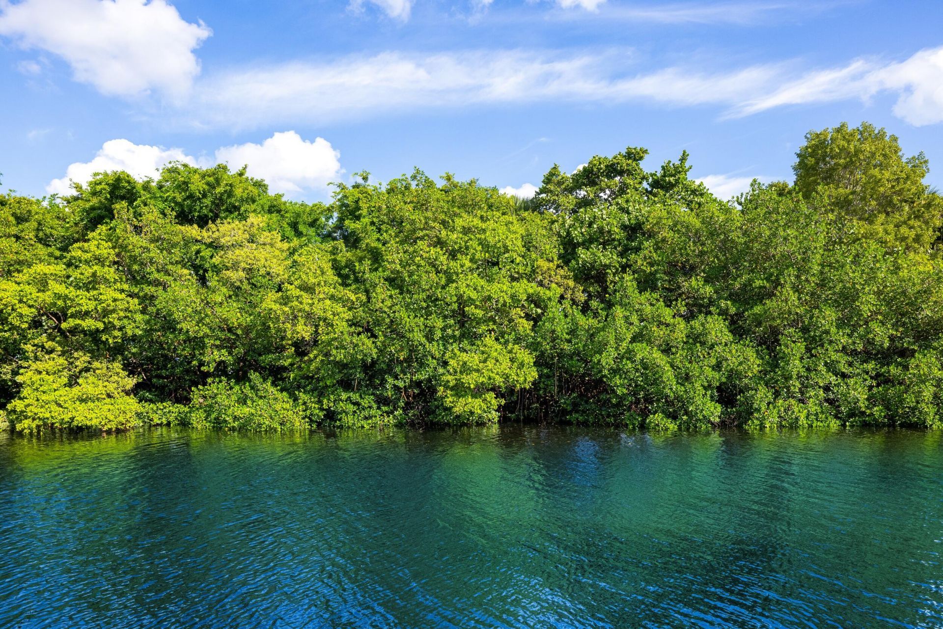 853 Harbour Isle Place, North Palm Beach, FL 33410 Photo