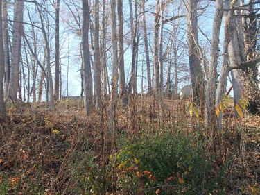 TBD3 CAMELOT DR, Unit 3, CHARLOTTESVILLE, VA 22911