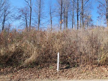 TBD27 BARNSDALE RD, Unit 27, CHARLOTTESVILLE, VA 22911