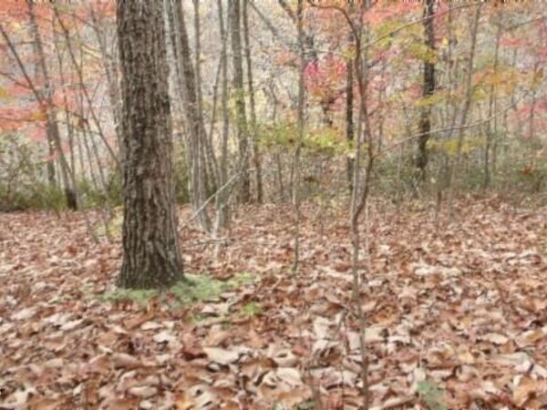 Lot 349 Drew Court , Smithville, TN 37166