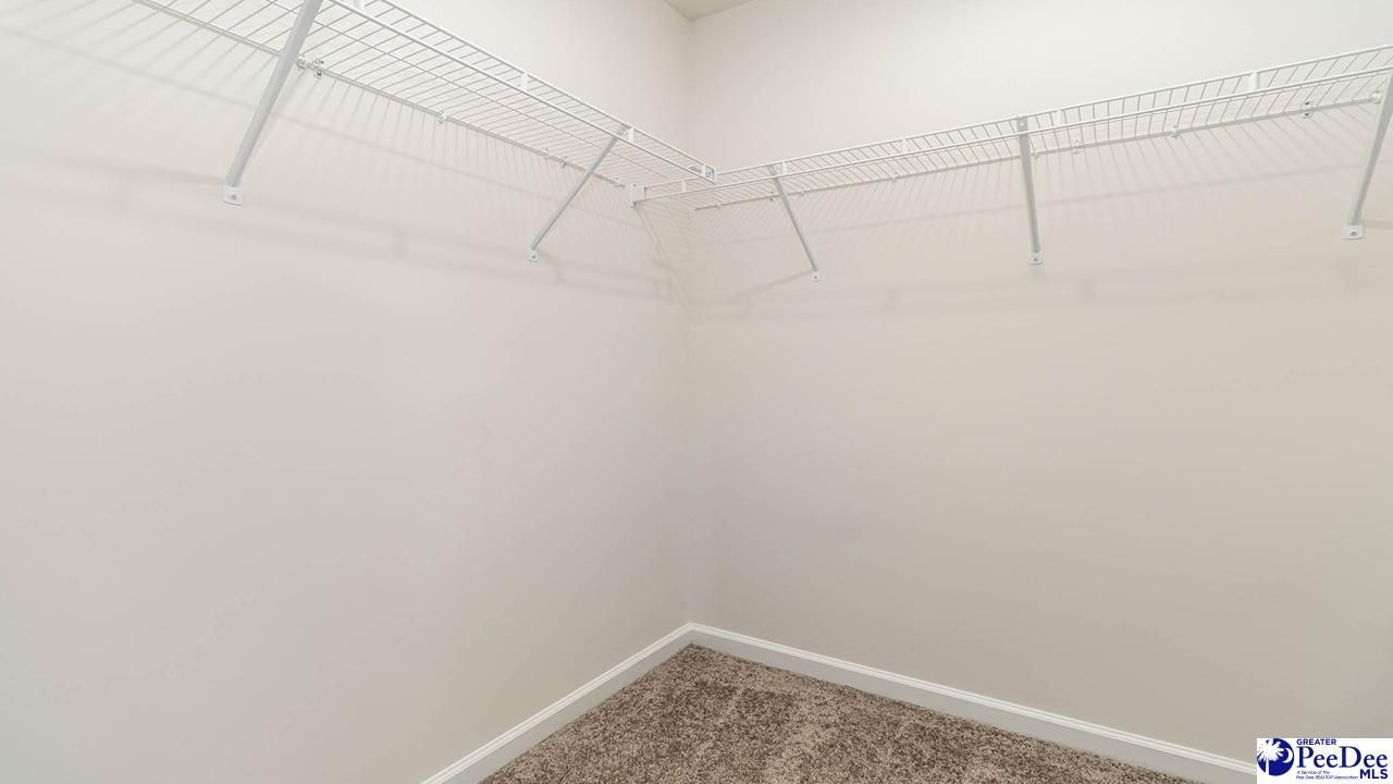 1015 Garden Sprout Drive (aria B Lot 321) Photo 21