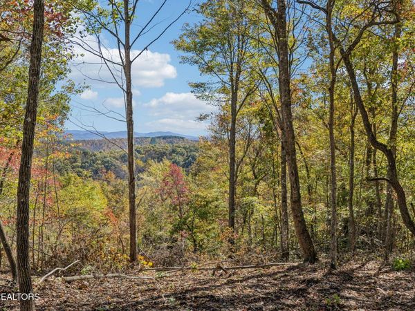 Sheep Ranch Rd, Robbins, TN 37852