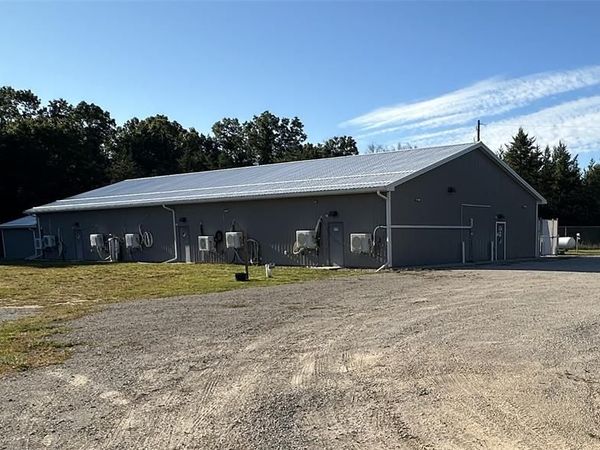 3049 S Dog Track Road, Baldwin Vlg, MI 49304