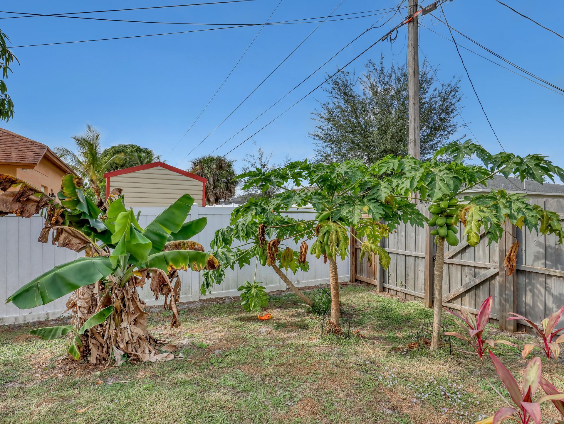 1357 SW Hebner Avenue, Port Saint Lucie, FL 34953 Photo