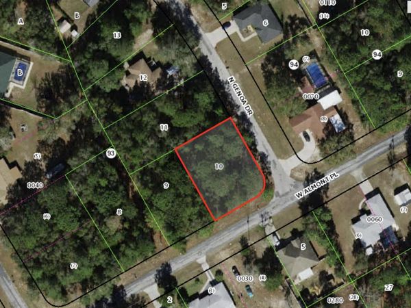 1021 W Almont Place, Citrus Springs, FL 34434