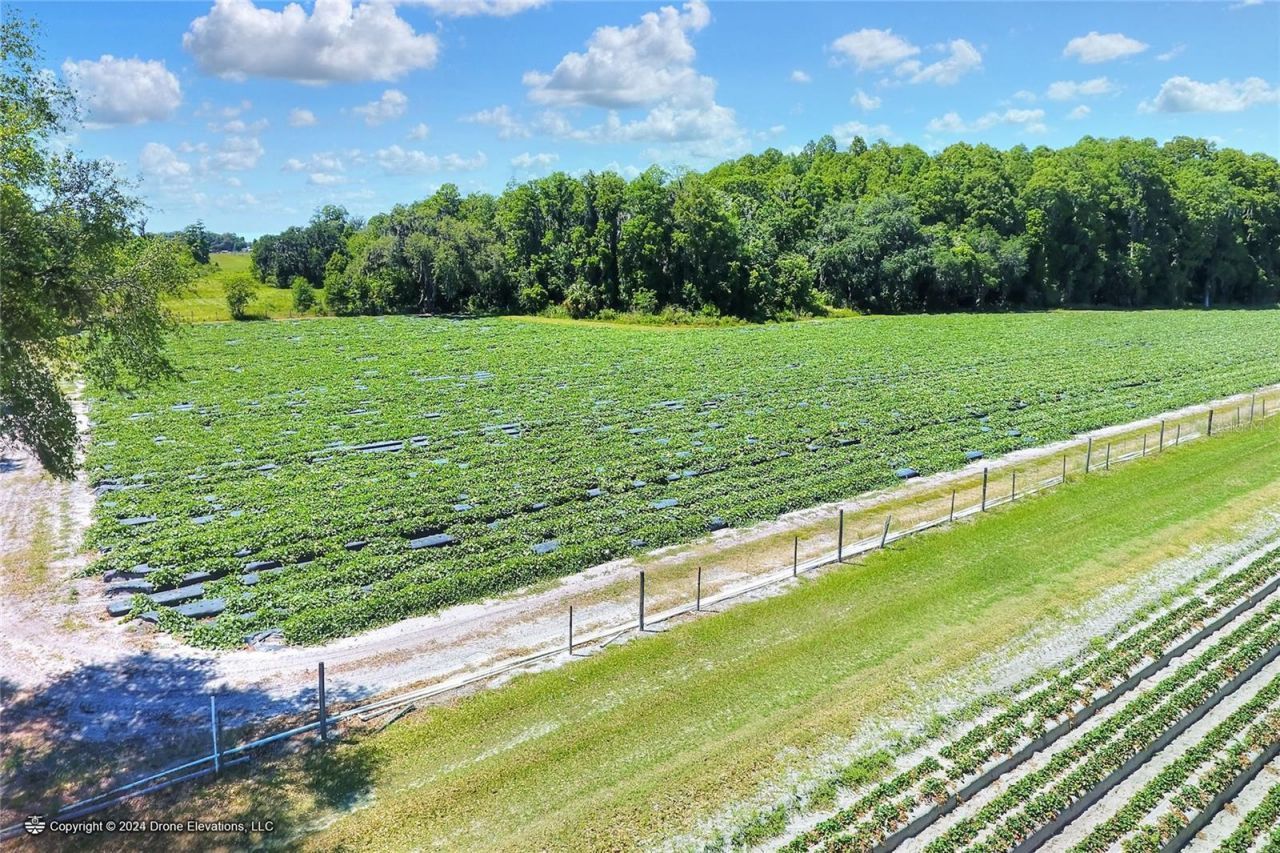 5625 Stafford Road, Plant City, FL 33565 Photo