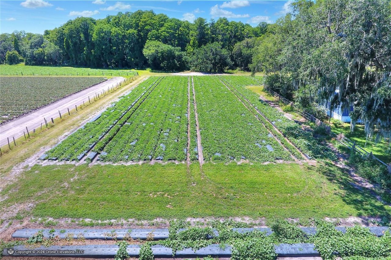 5625 Stafford Road, Plant City, FL 33565 Photo