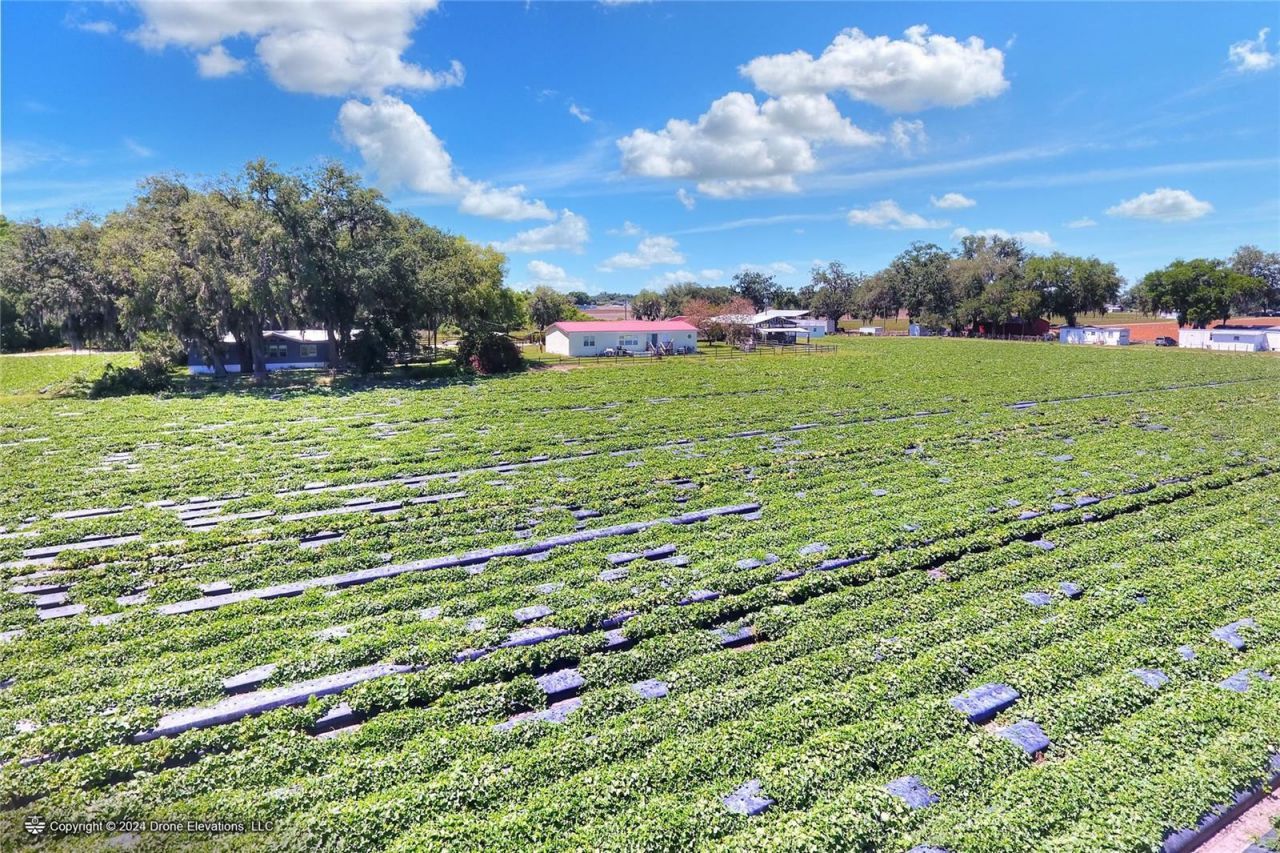 5625 Stafford Road, Plant City, FL 33565 Photo