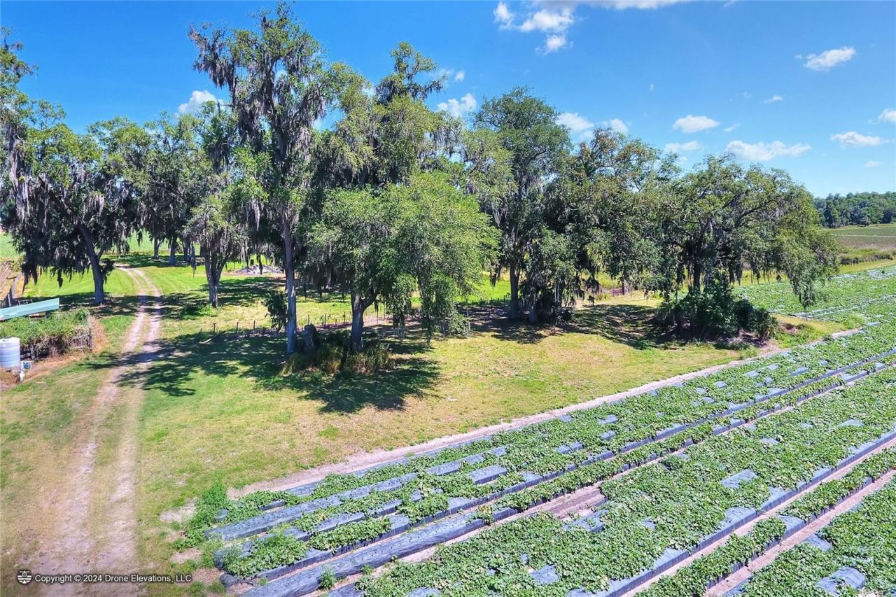 5625 Stafford Road, Plant City, FL 33565 Photo