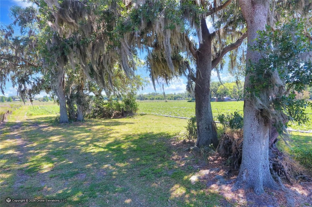 5625 Stafford Road, Plant City, FL 33565 Photo