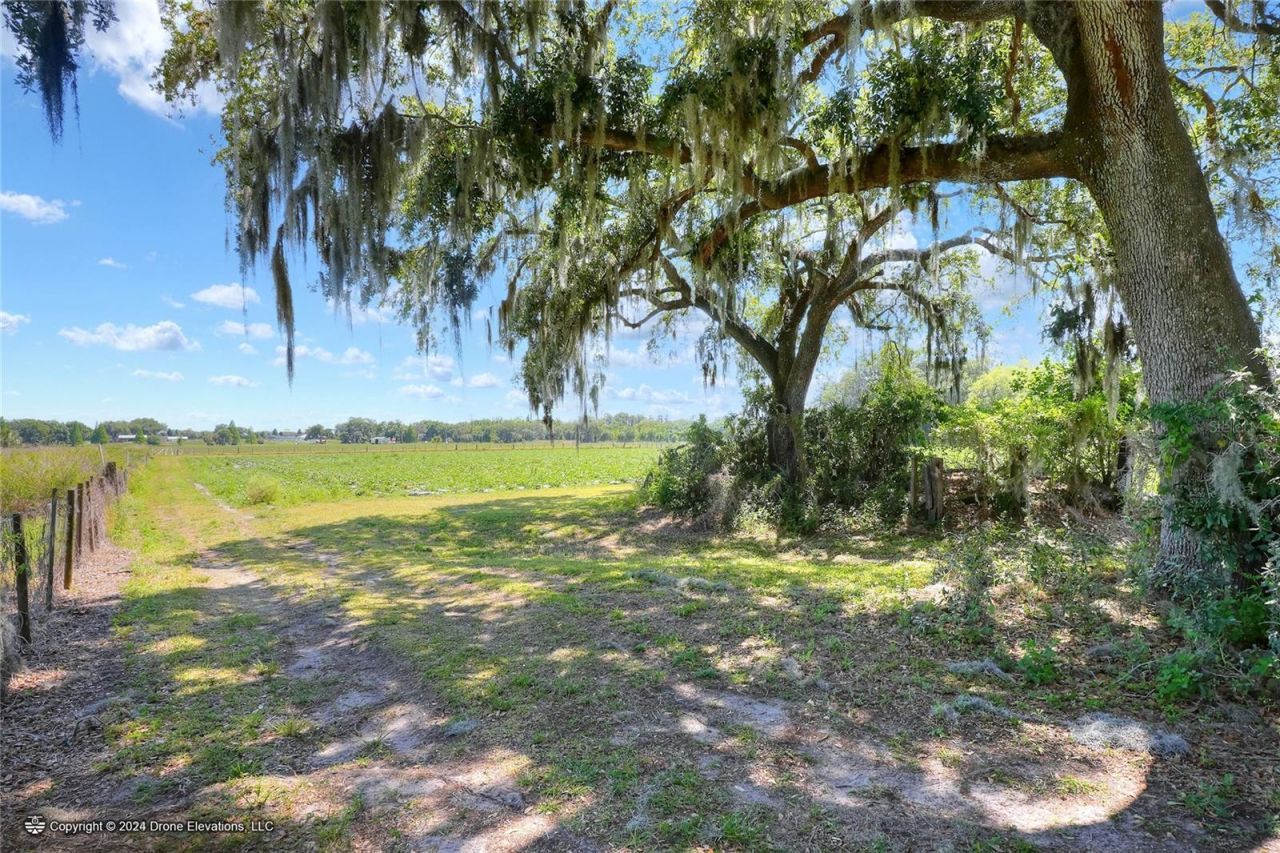 5625 Stafford Road, Plant City, FL 33565 Photo