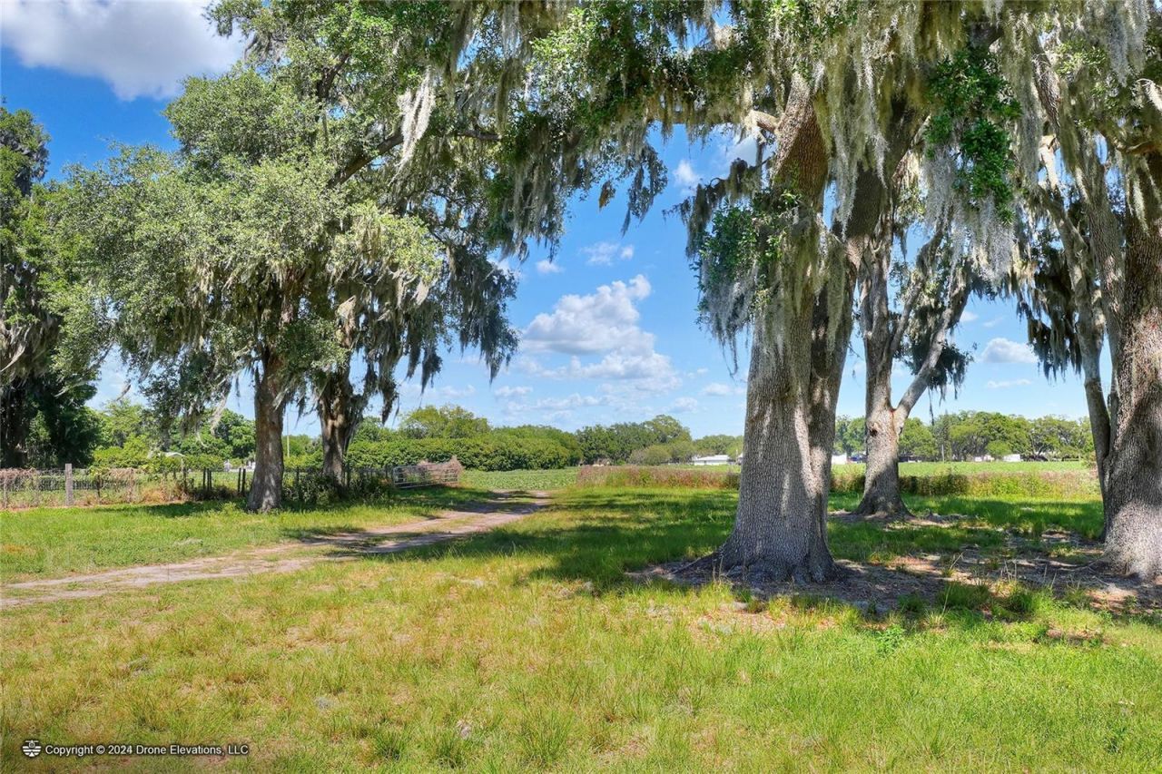 5625 Stafford Road, Plant City, FL 33565 Photo