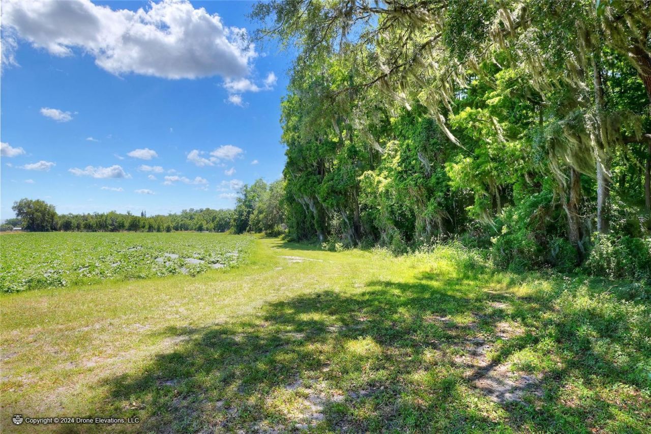 5625 Stafford Road, Plant City, FL 33565 Photo