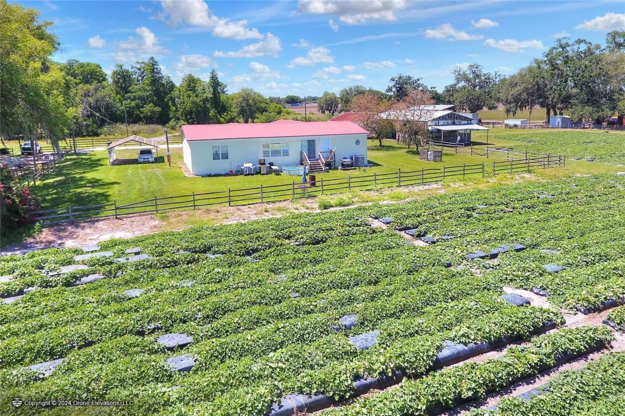 5625 Stafford Road, Plant City, FL 33565 Photo