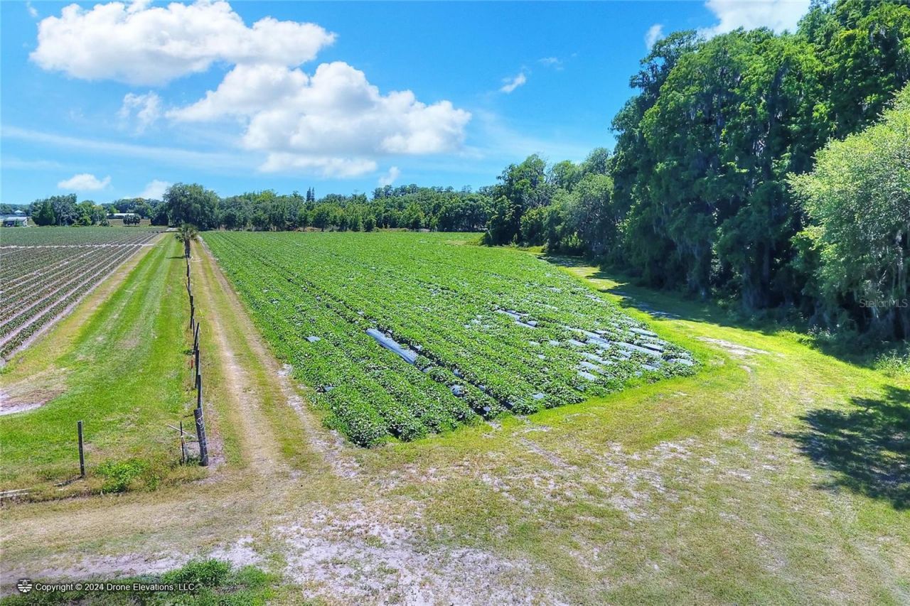 5625 Stafford Road, Plant City, FL 33565 Photo