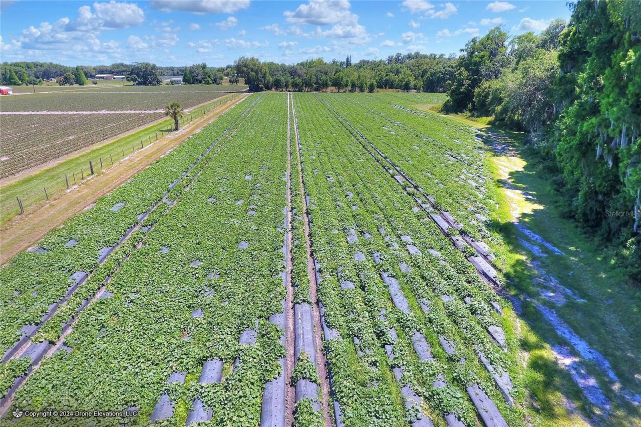 5625 Stafford Road, Plant City, FL 33565 Photo