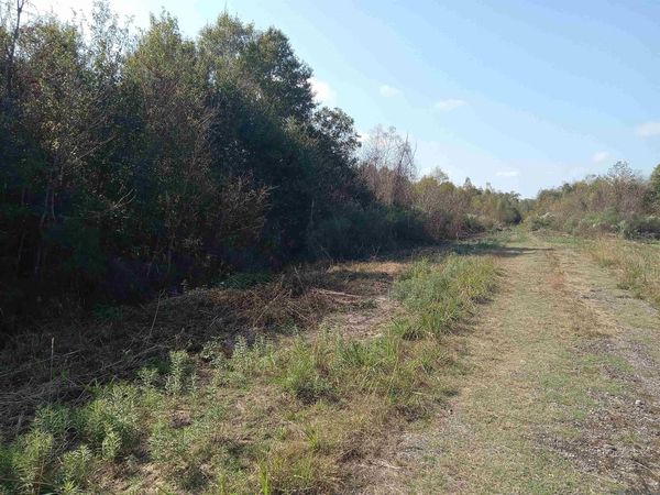 Rue Orleans, Livingston, LA 70744