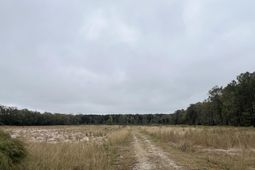 1791 Black Tom Road  photo 4