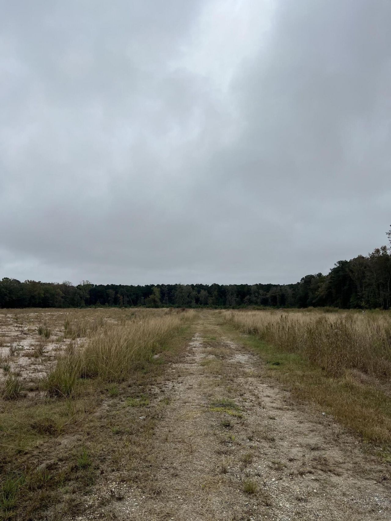 1791 Black Tom Road  Photo 4