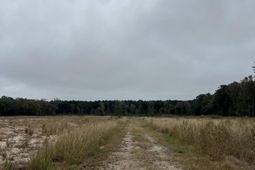 1791 Black Tom Road  photo 4