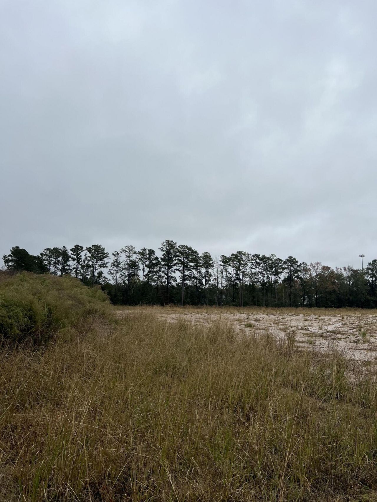 1791 Black Tom Road  Photo 5