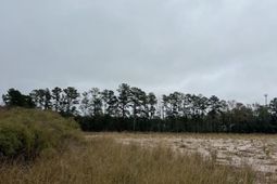 1791 Black Tom Road  photo 4