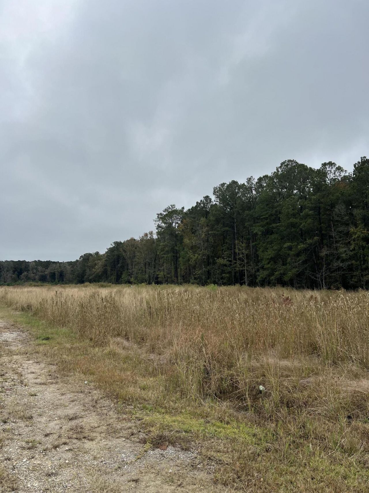 1791 Black Tom Road  Photo 6