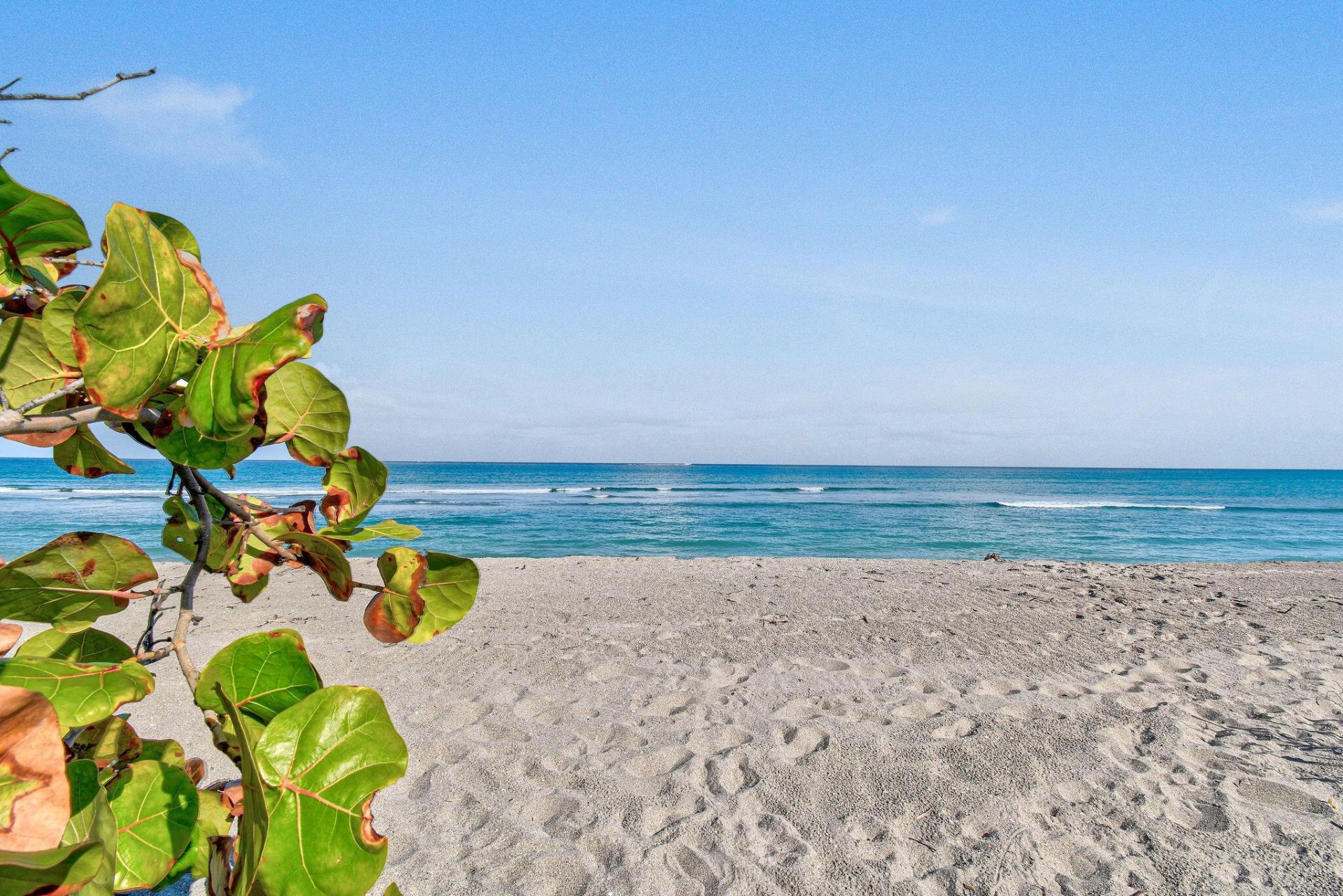 444 Zephyr Way, Juno Beach, FL 33408 Photo