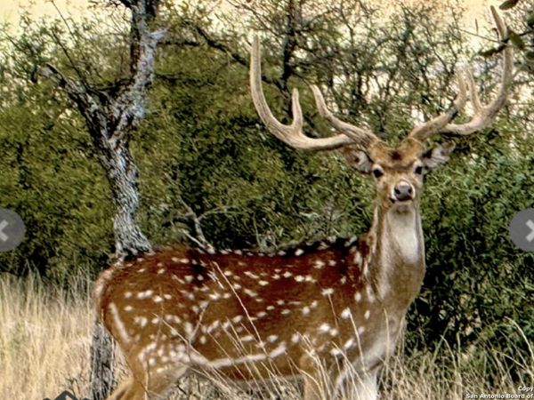 14410 us highway 190, Fort McKavett, TX 76841