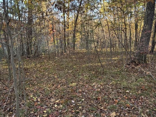 V/L Maple Hill Road, Unit Parcel C, Howard City, MI 49329